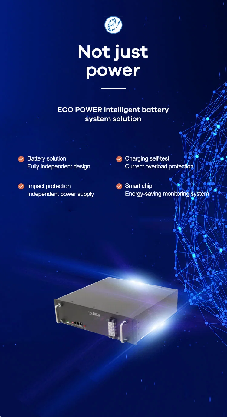 51.2V 50ah (50Ah 1P16S) LiFePO4 (LFP) High Energy Lithium Rechargeable Secondary Battery Pack Li-ion Storage Accumulators Power Supply UPS Solar Home Storage