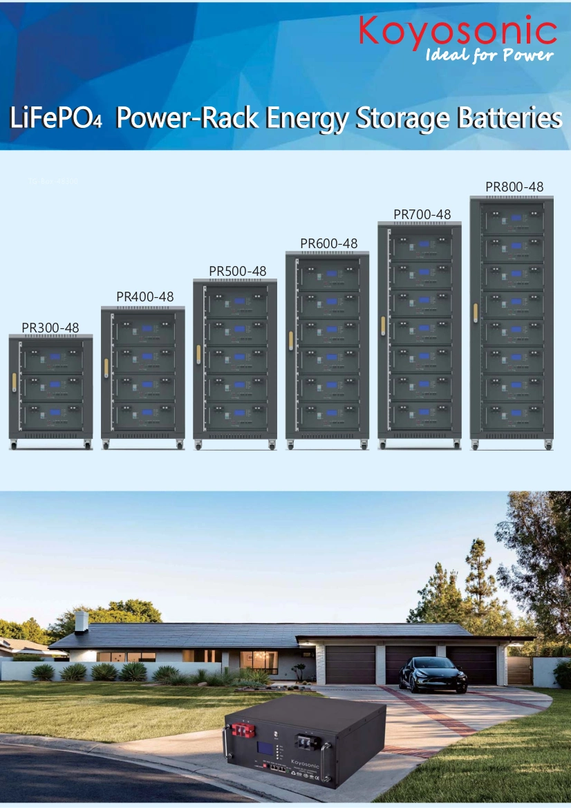 48V Lithium Battery Rack 50ah 100ah 200ah Tesla 51.2V LiFePO4 Battery 2.5kwh 5kwh 10kwh 15kwh Lithium Ion Battery Pack Li-ion Home Storage Battery Telecom UPS