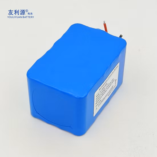 Factory OEM 36V 48V 51.2V 100ah 200ah LiFePO4 Lithium Ferro Phosphate Battery Pack 18650 LiFePO4 Battery for Energy Storage System RV PV Golf Cart