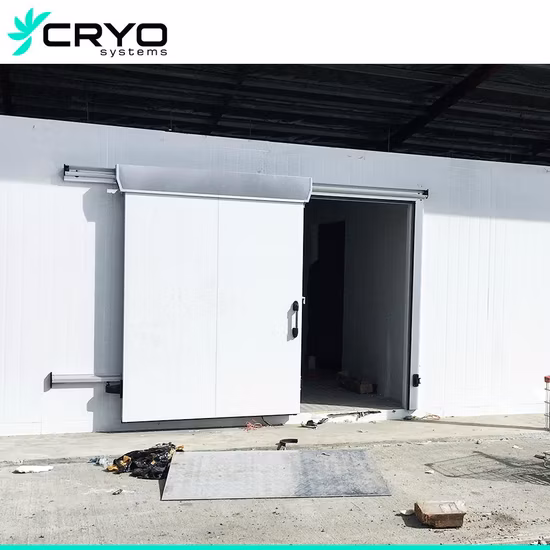 Power Energy Drink Frozen Yoghurt Industrial Cold Room Storage Design Cheap Walk in Freezer Types of Cold Storage